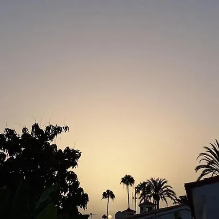 Oasis Porches
